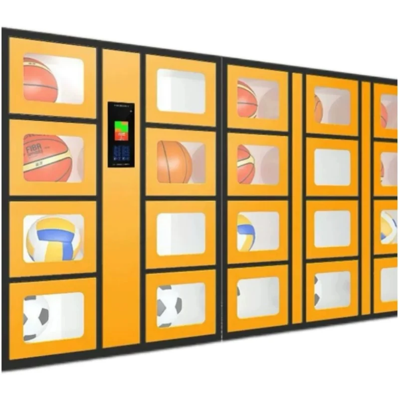 Круглосуточный пункт проката у – обзор и цена Sports Equipment Locker