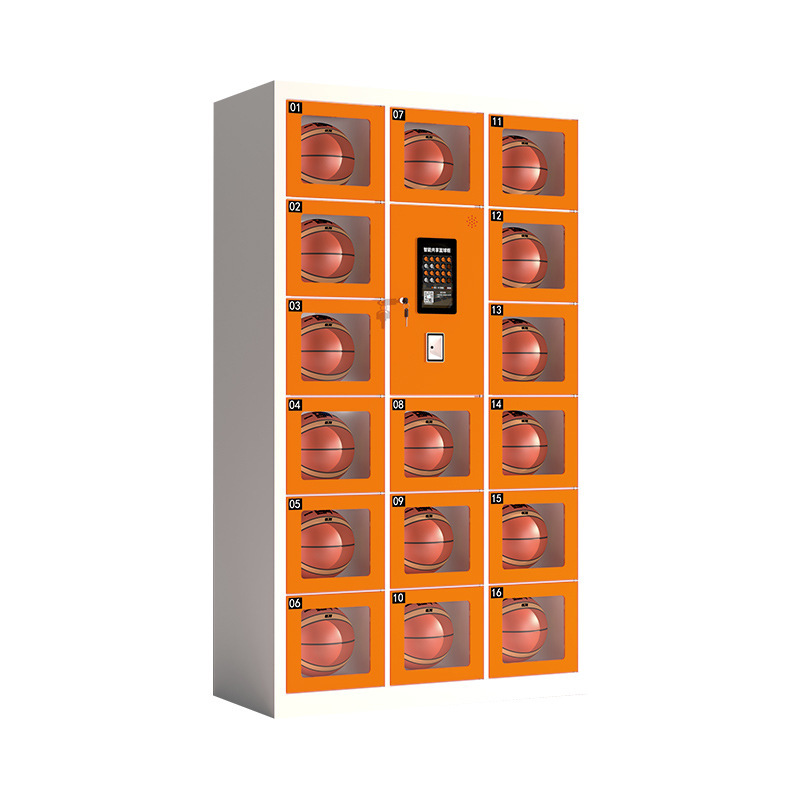 Шкаф для хранения баскетбольно – обзор и цена Sports Equipment Locker